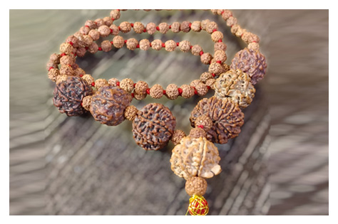 Rudraksha
