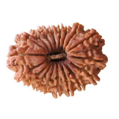 18 mukhi