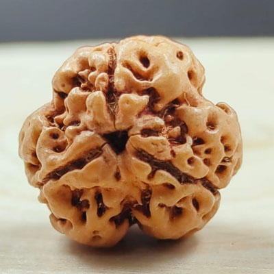 3 mukhi