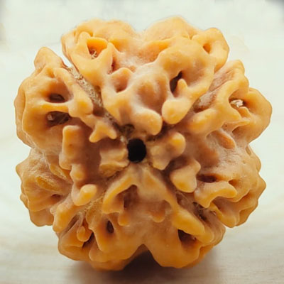 4 mukhi